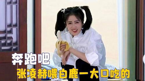 娱乐吃瓜直播白鹿